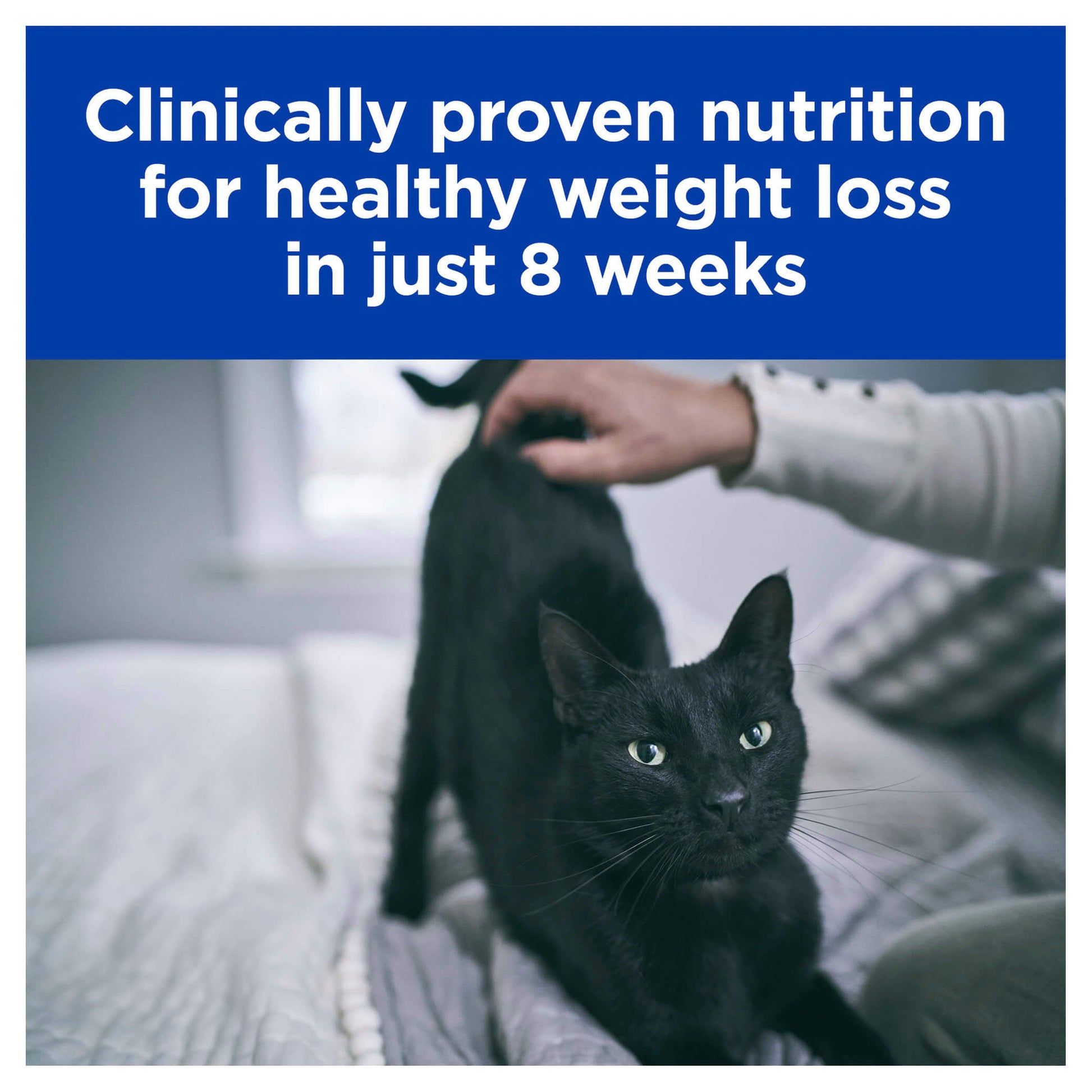 Hill's Prescription Diet r/d Feline (133211000012) [default_color]