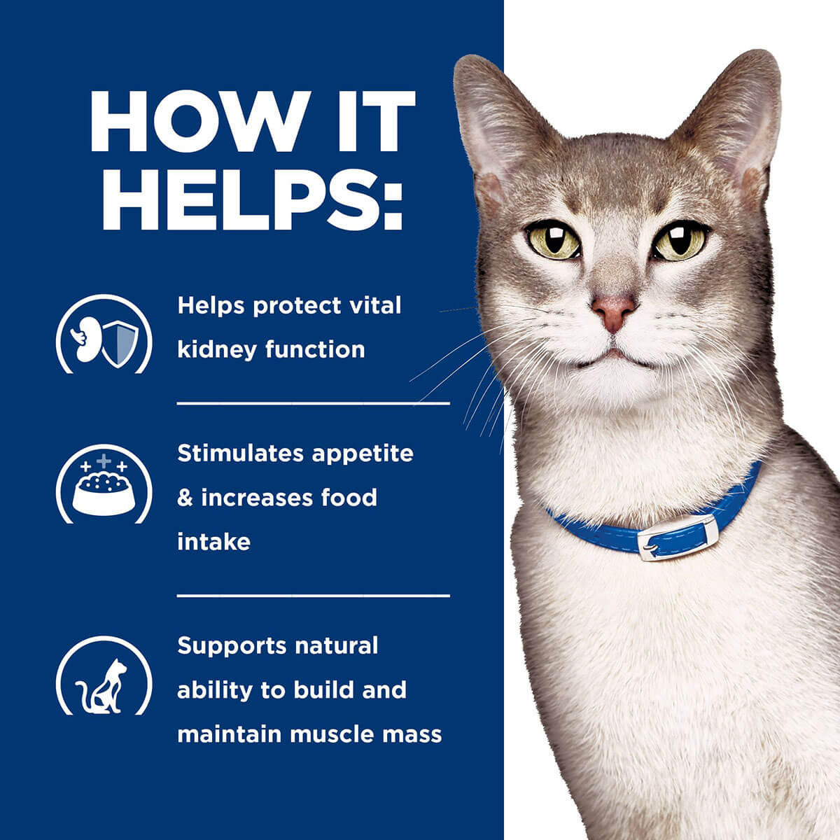 Hill's Prescription Diet K/D Kidney Care Pate With Chicken Wet Cat Food 156g