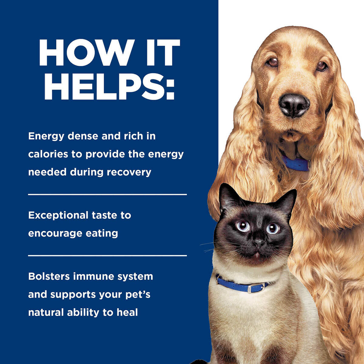 Hill's Prescription Diet A/D Urgent Care Wet Dog & Cat Food