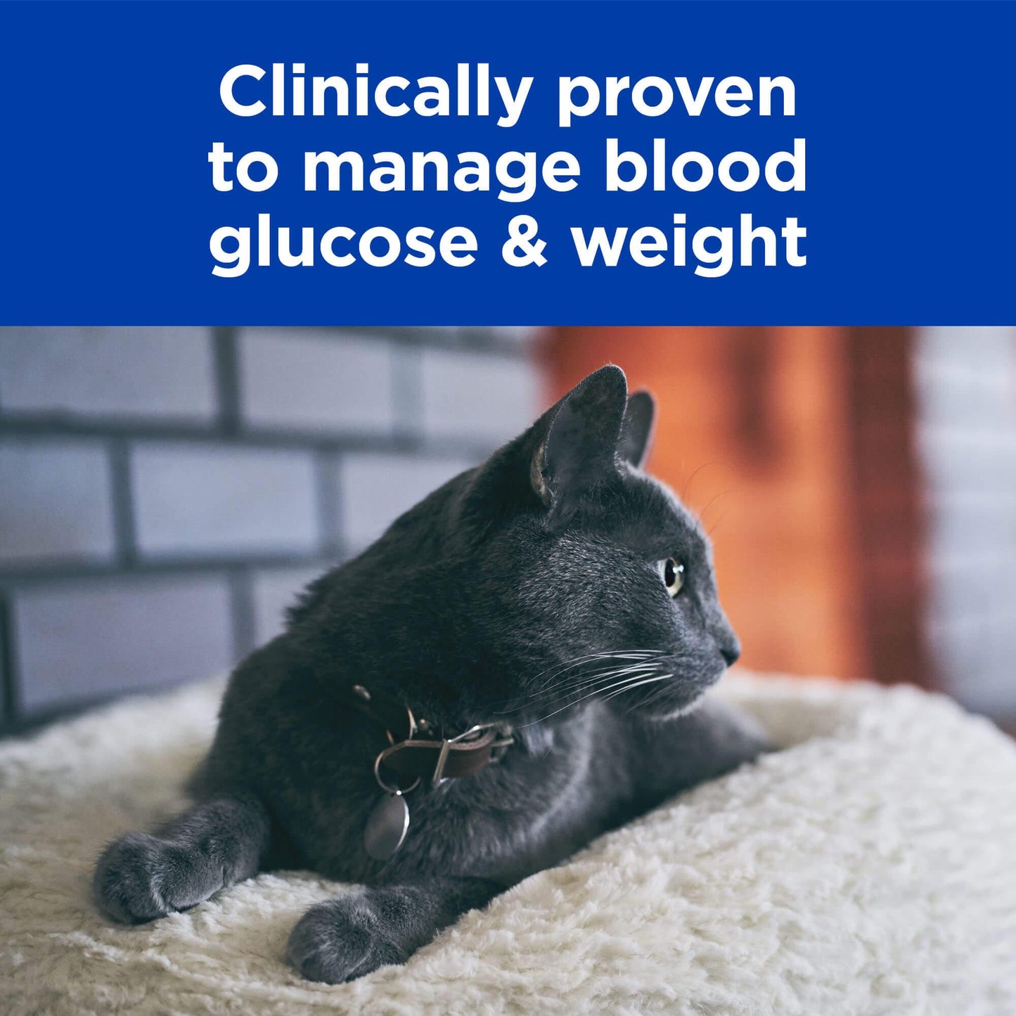 Hill's Prescription Diet M/D Glucose/Weight Management Dry Cat Food 1.8kg