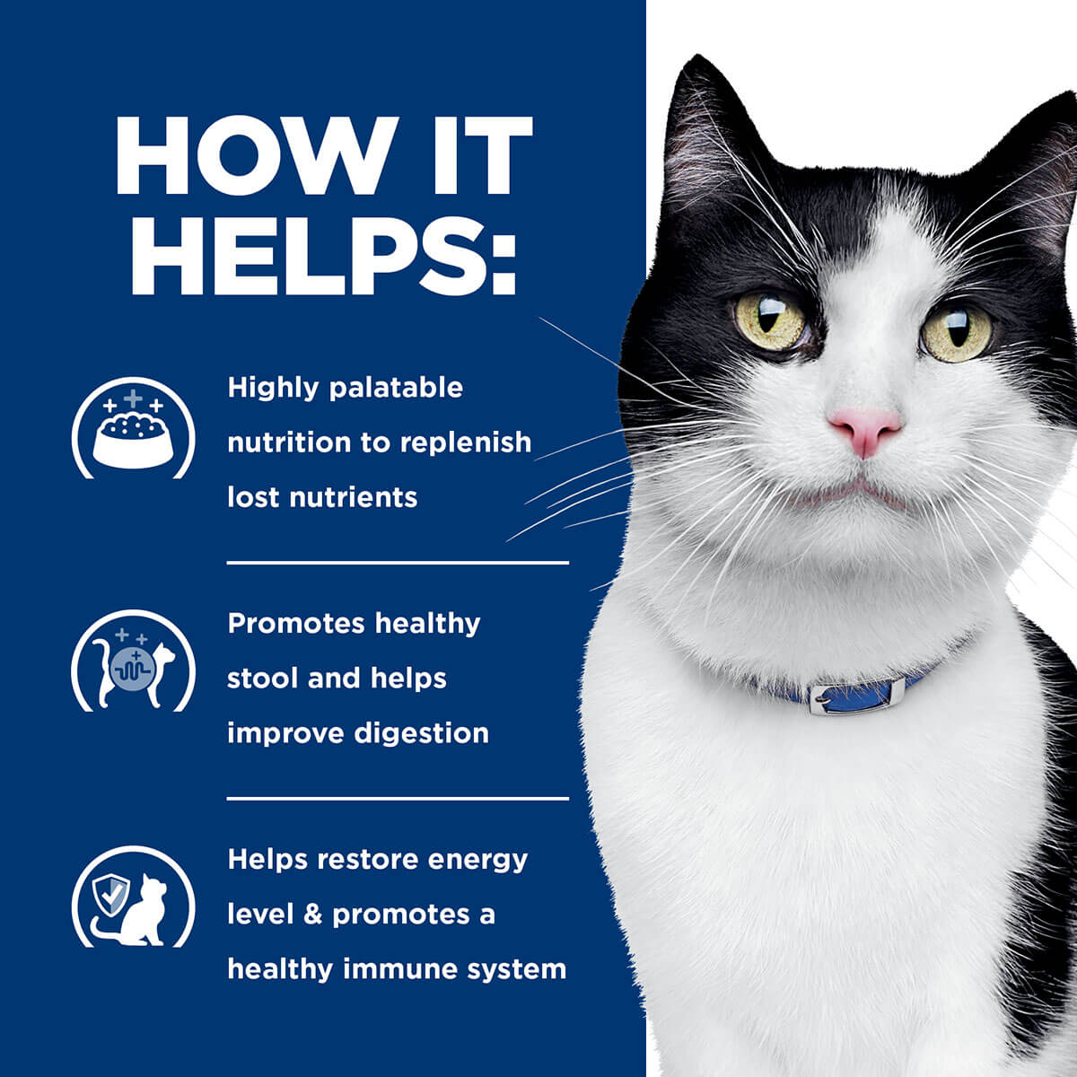 Hill's Prescription Diet I/D Digestive Health Support Chicken & Vegetable Stew Wet Cat Food
