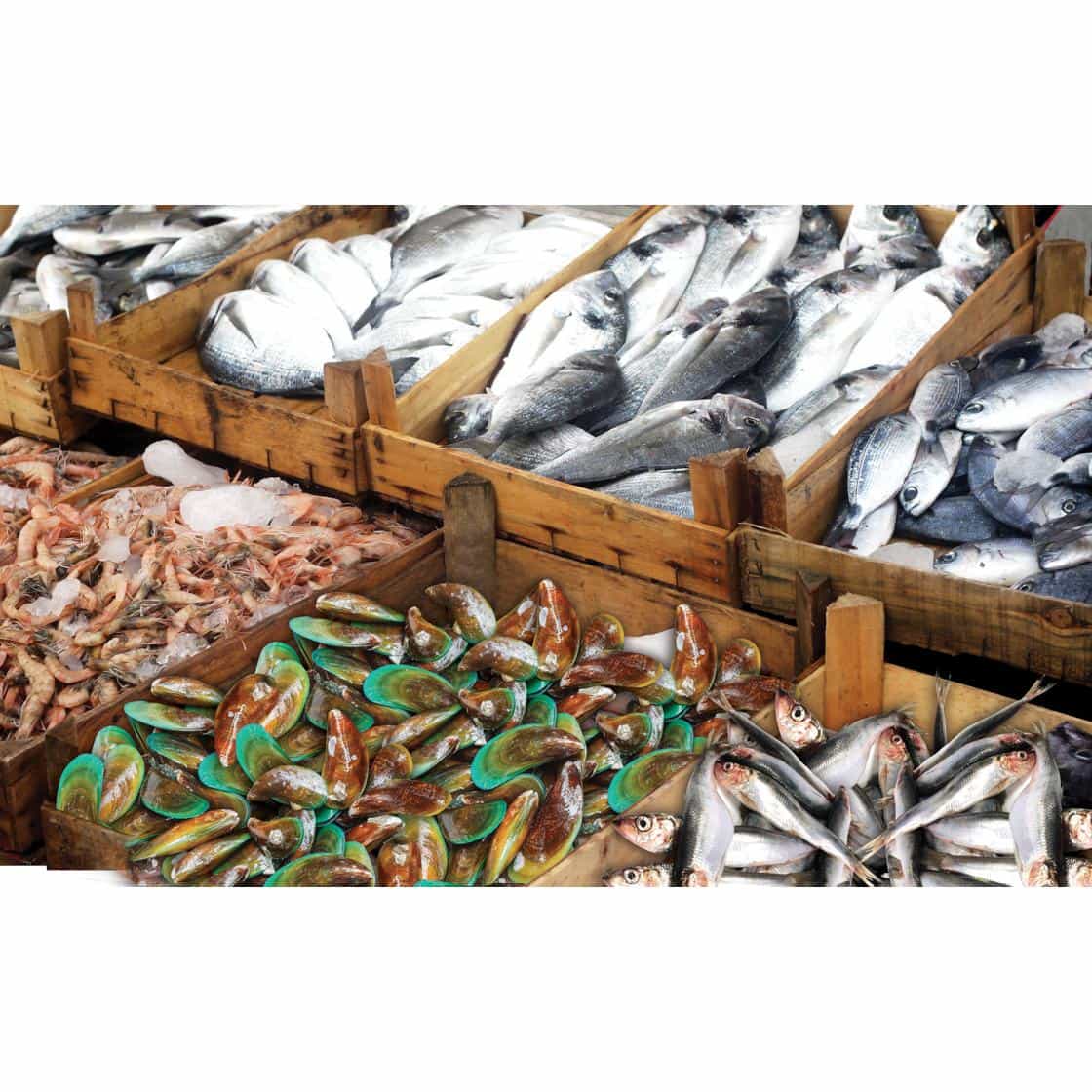 Fluval  Tropical Sinking Pellet Food  for Medium Fish (152113000031) [default_color]