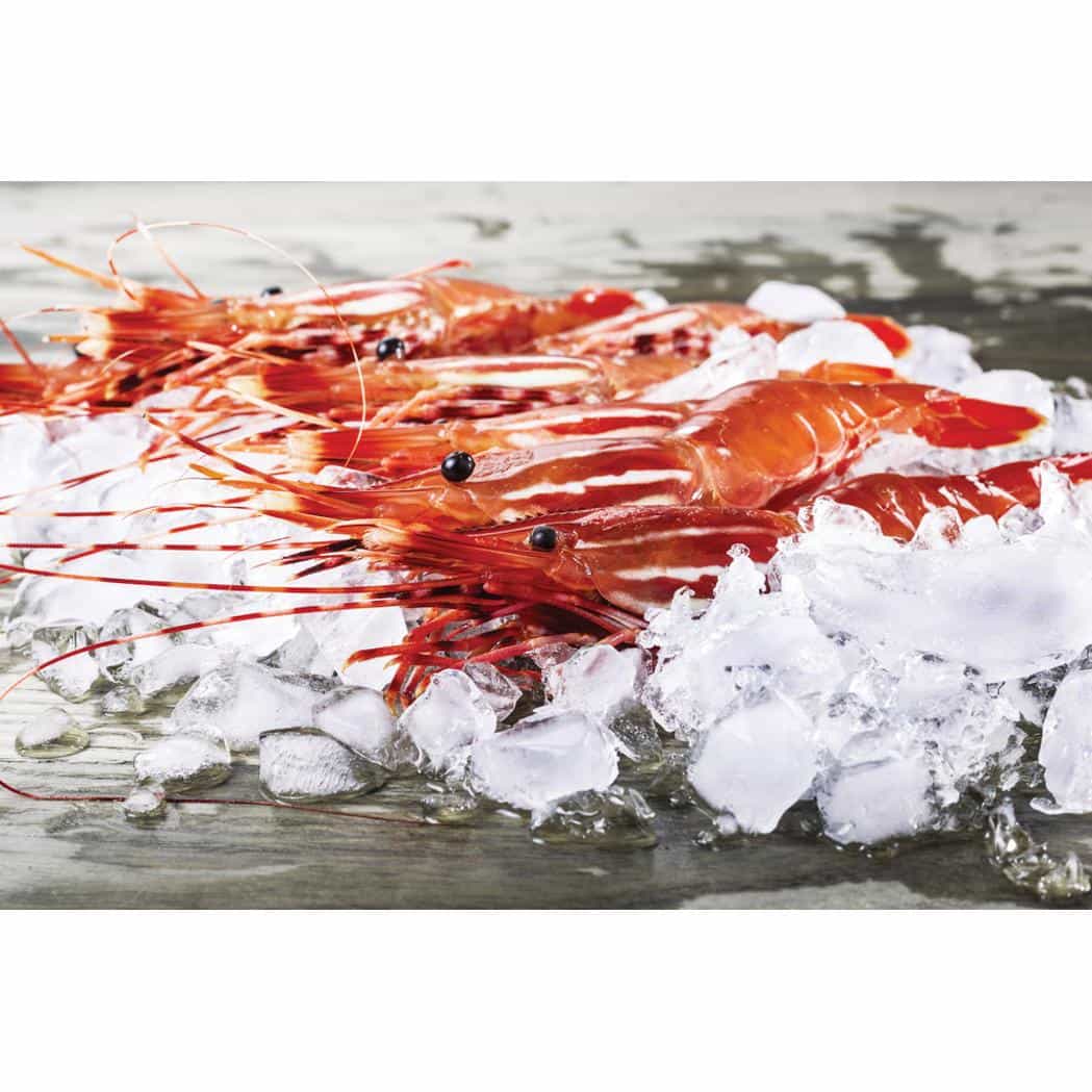 Fluval  Tropical Sinking Pellet Food  for Medium Fish (152113000031) [default_color]