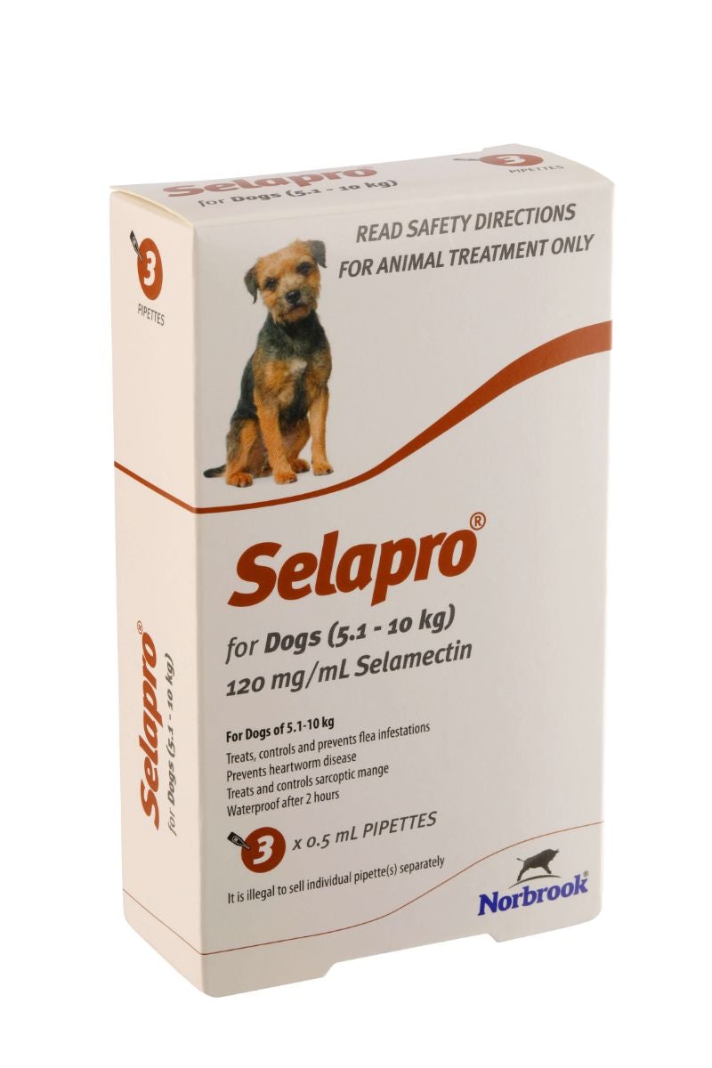 Selapro Flea & Worming Spot On Treatment 5.1-10kg Dog