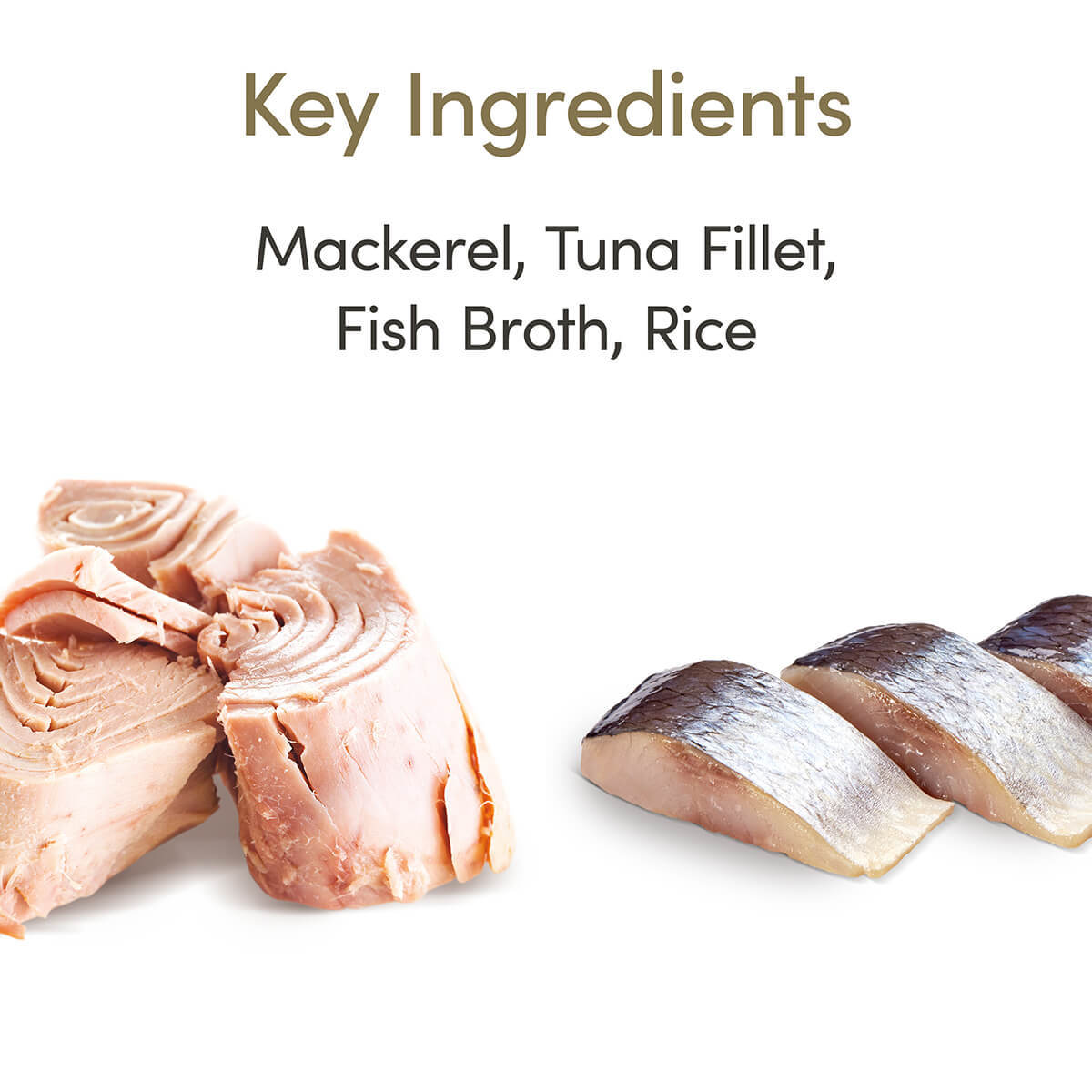 Applaws Ocean Fish Wet Cat Food