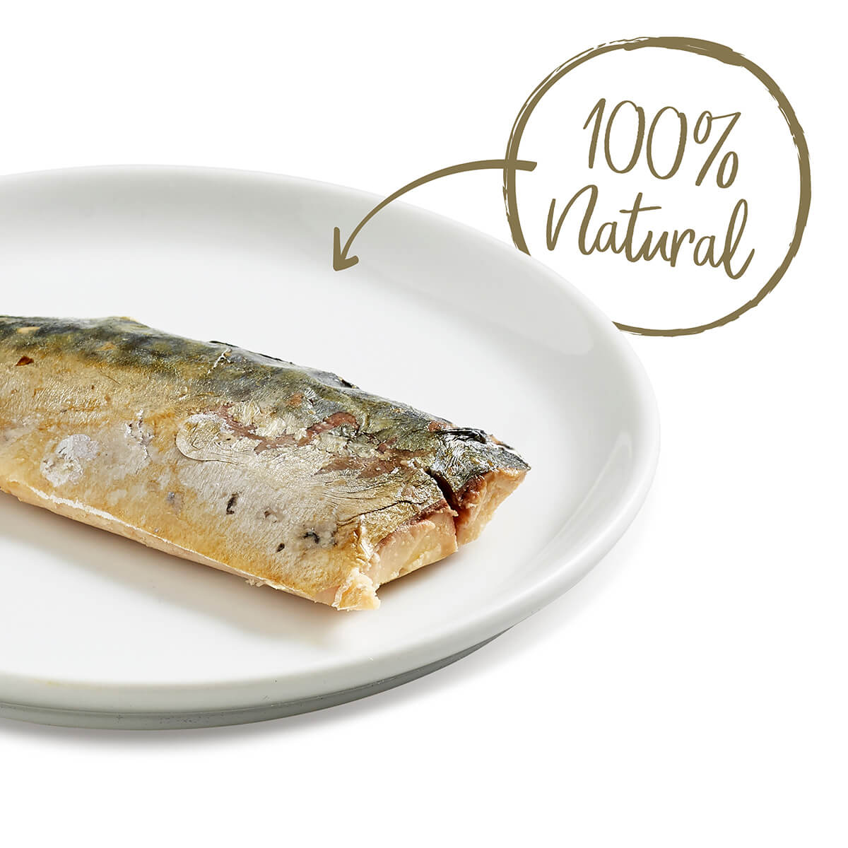 Applaws Mackerel Loin Cat Treats 30g