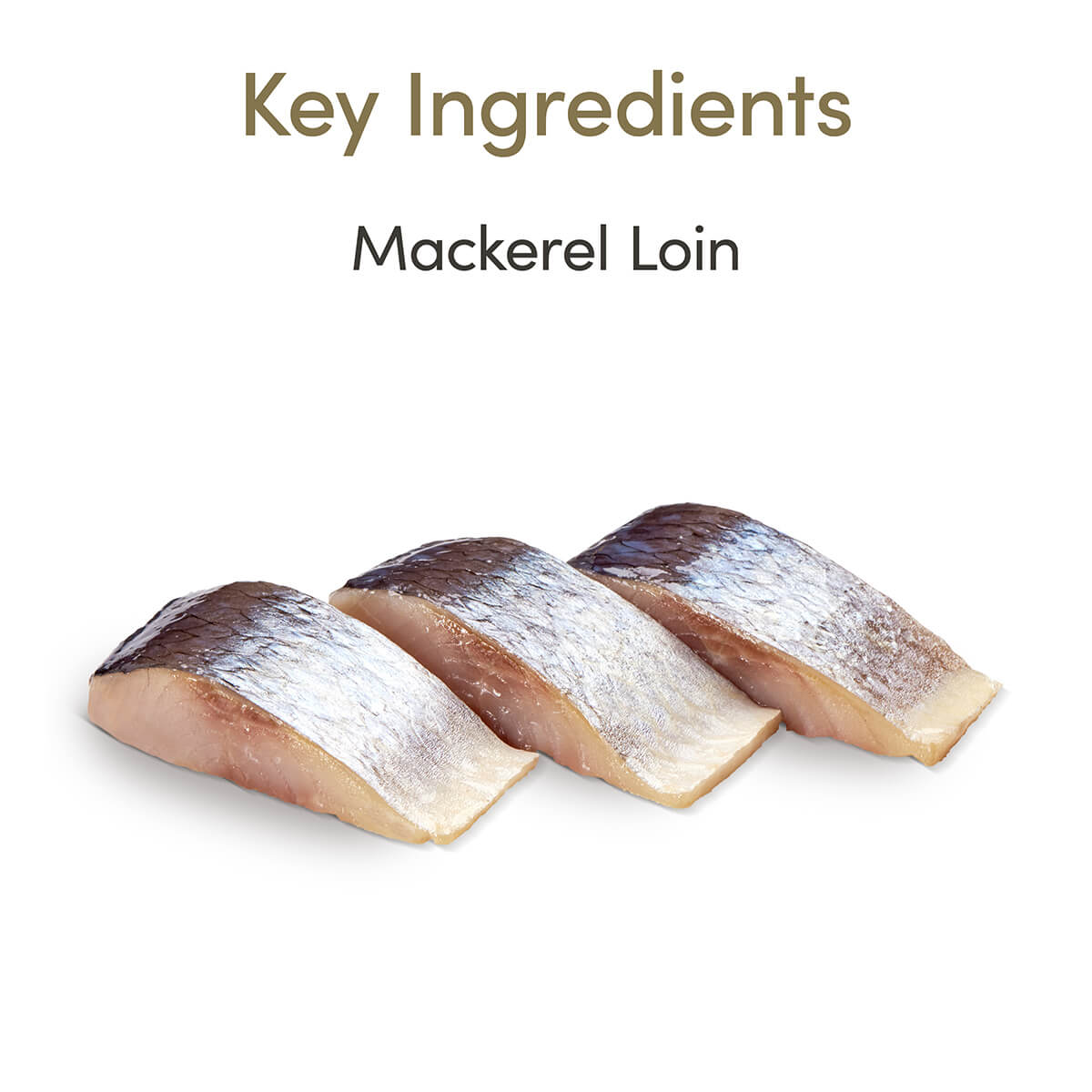 Applaws Mackerel Loin Cat Treats 30g
