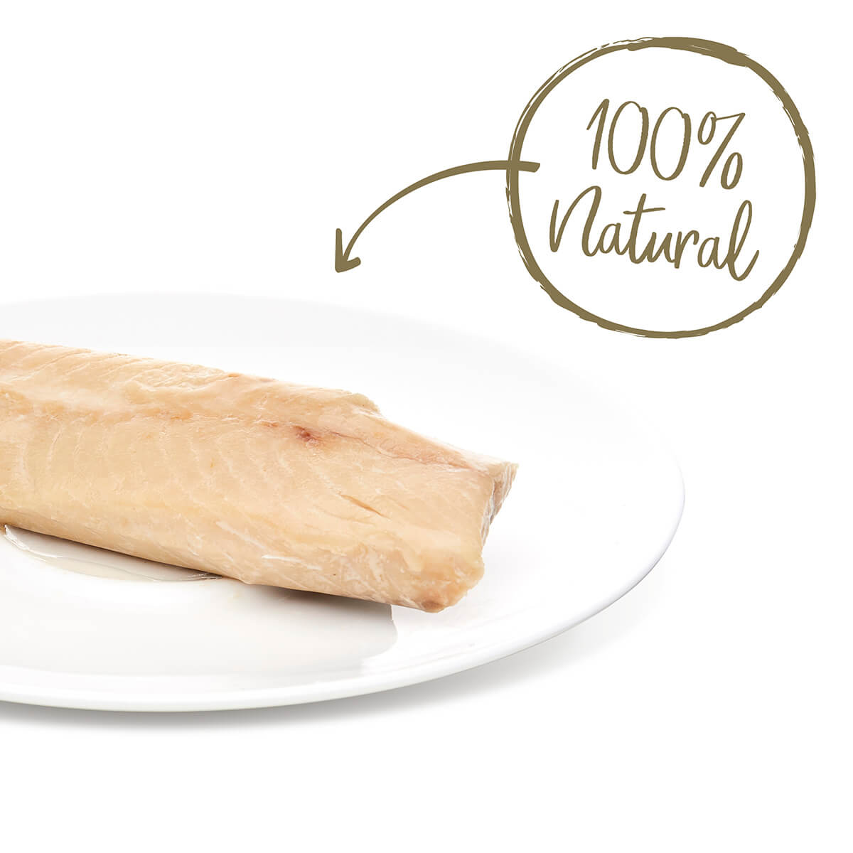 Applaws Salmon Loin Cat Treats 25g