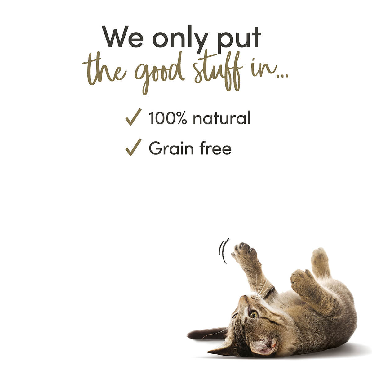 Applaws Salmon Loin Cat Treats 25g
