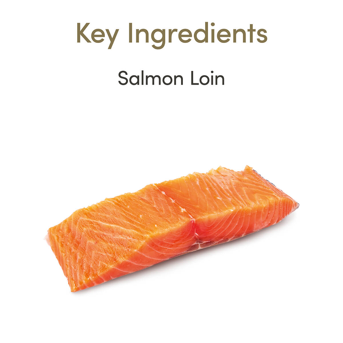 Applaws Salmon Loin Cat Treats 25g