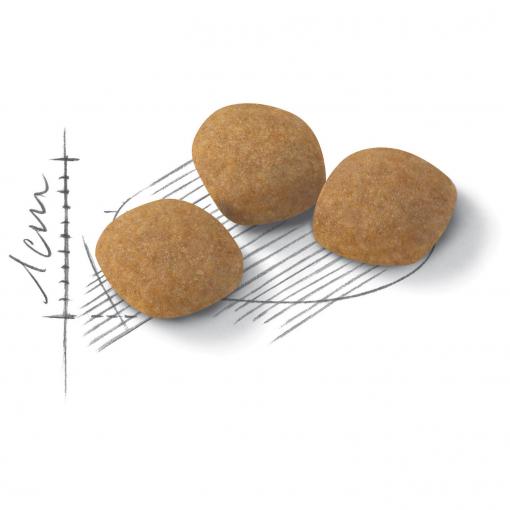 Royal Canin Exigent Protein Preference Adult Dry Cat Food 2kg