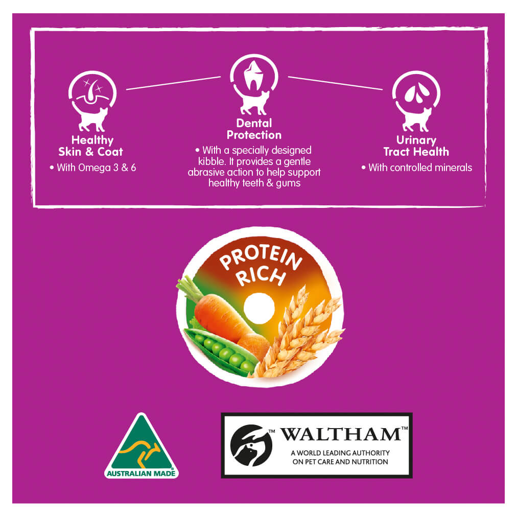 Whiskas Ocean Fish Dry Cat Food