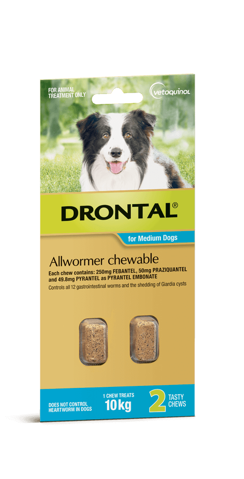 Drontal Chewable Intestinal Wormer Medium Dog
