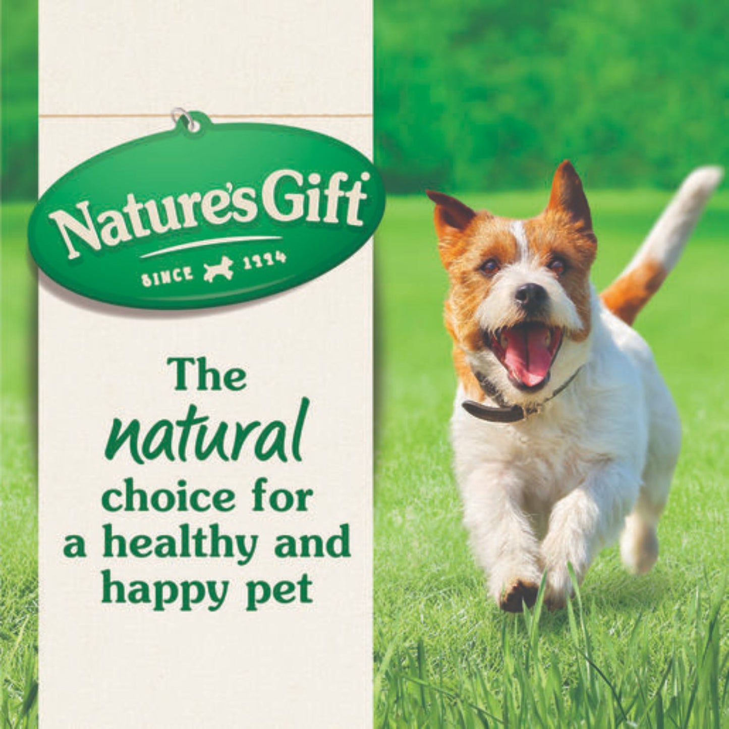 Nature's Gift Sustain Adult Beef Dry Dog Food