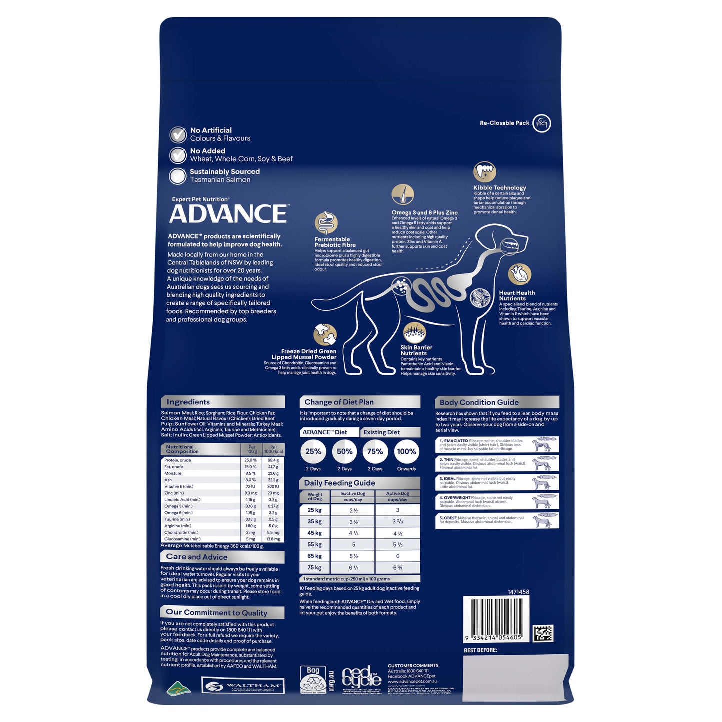 Advance Large Oodles Salmon With Rice Dry Dog Food