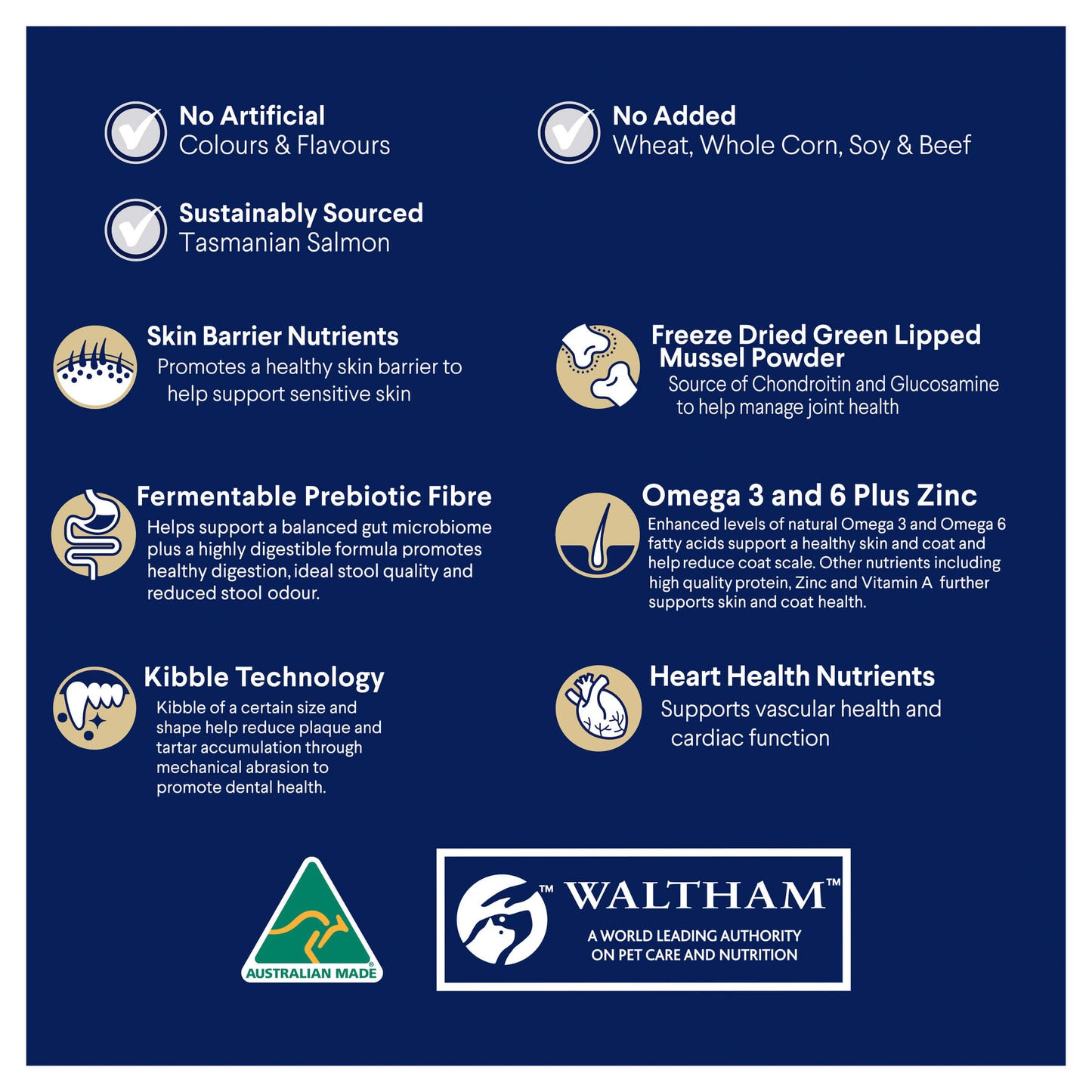 Advance Large Oodles Salmon With Rice Dry Dog Food