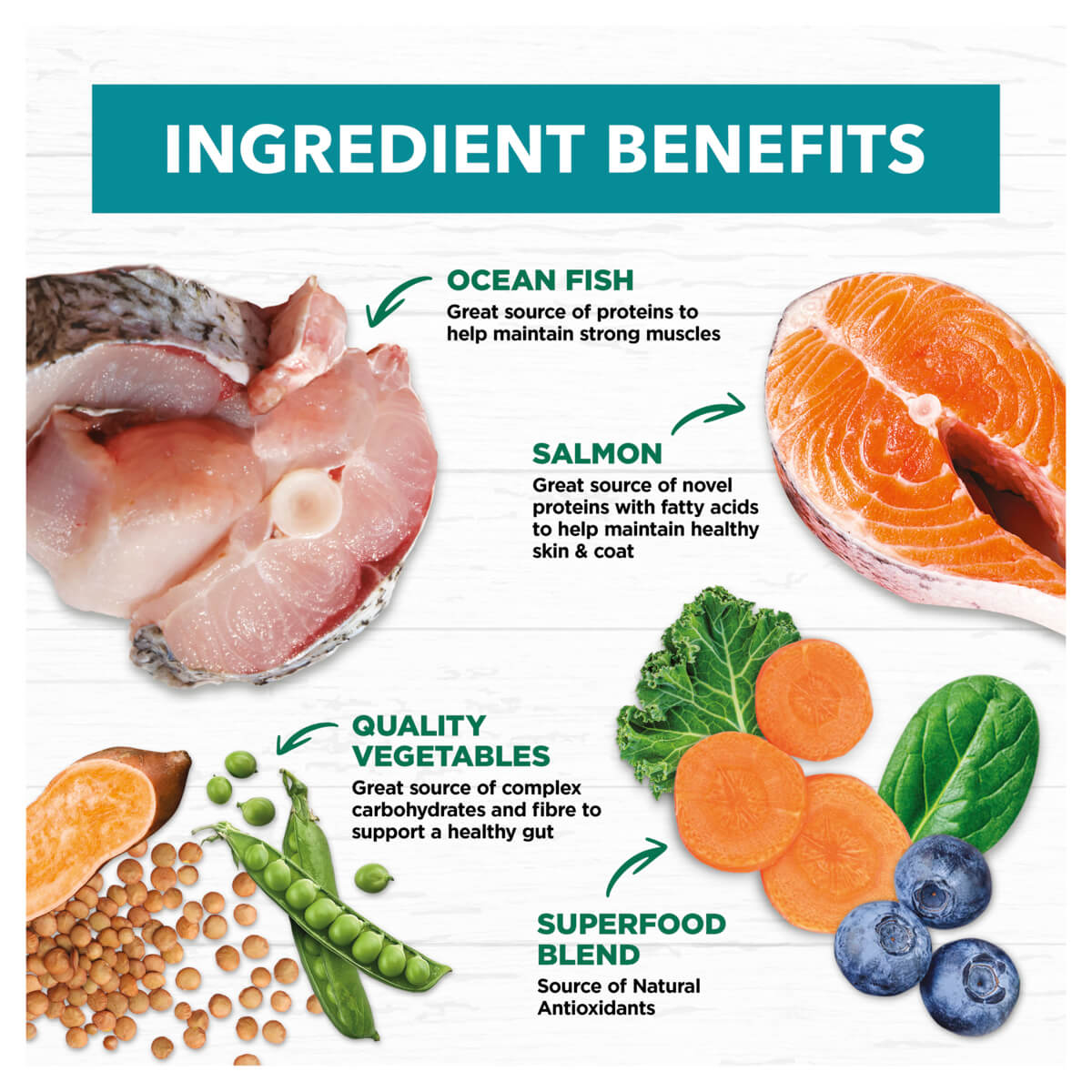 Ivory Coat Grain Free Adult Ocean Fish & Salmon Dry Dog Food