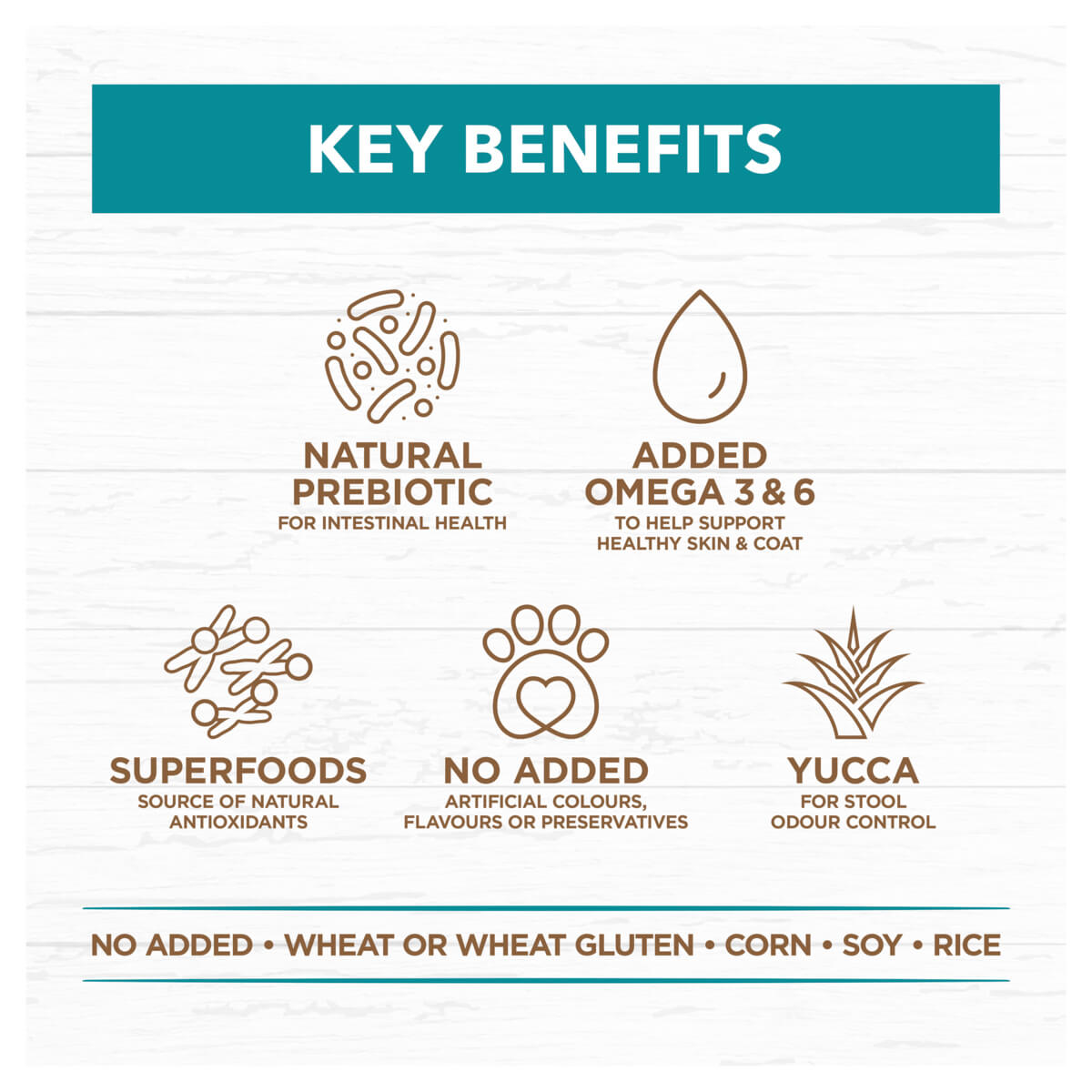 Ivory Coat Grain Free Adult Ocean Fish & Salmon Dry Dog Food