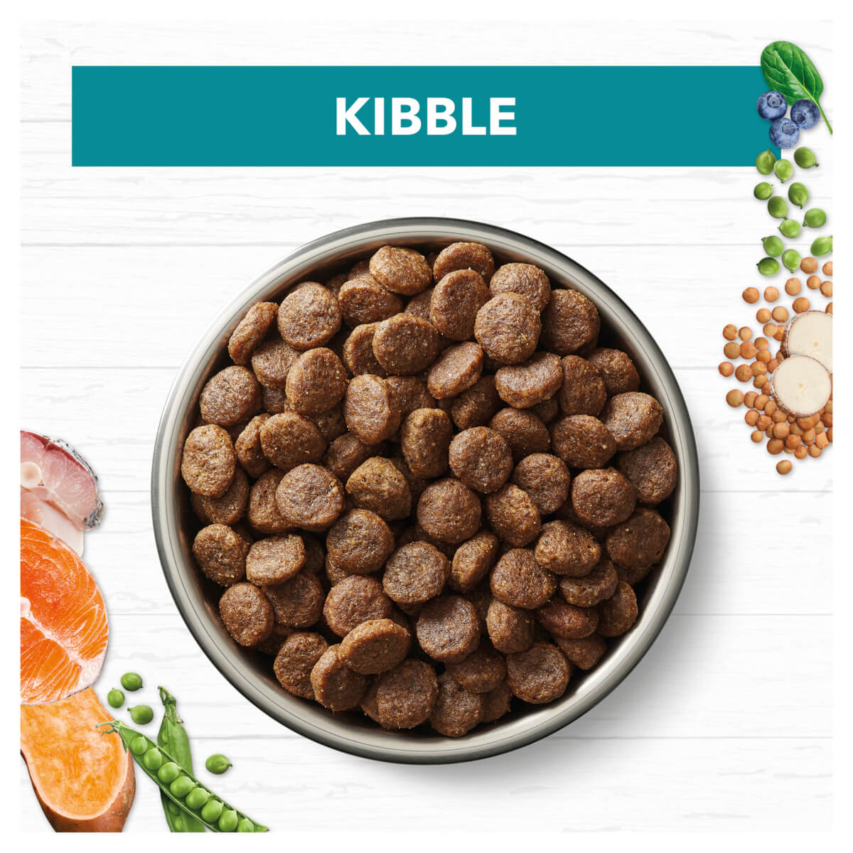 Ivory Coat Grain Free Adult Ocean Fish & Salmon Dry Dog Food