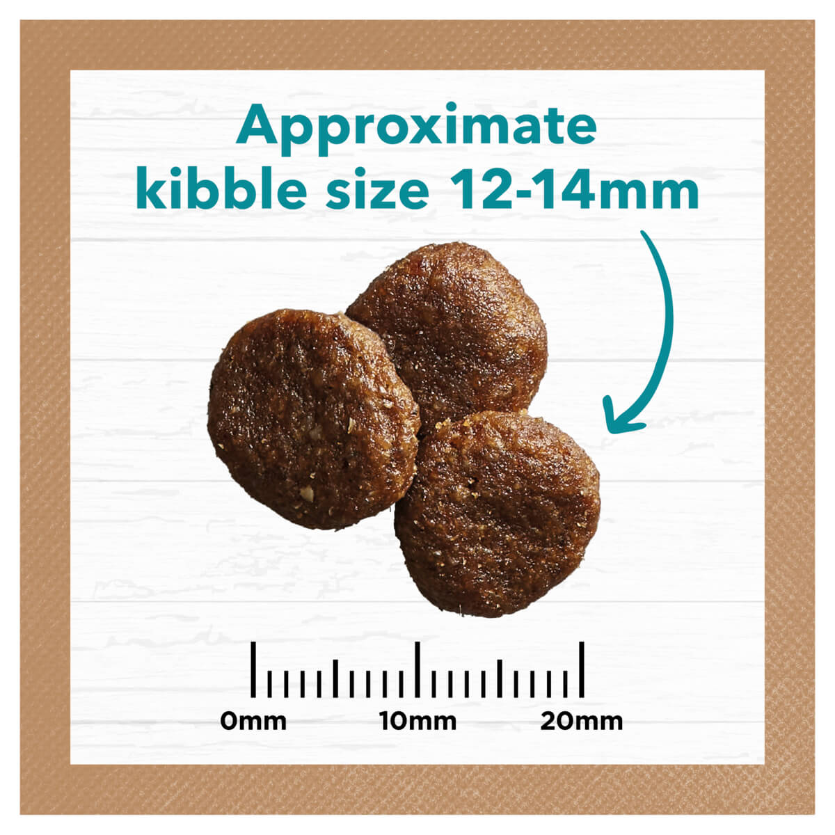 Ivory Coat Grain Free Adult Ocean Fish & Salmon Dry Dog Food