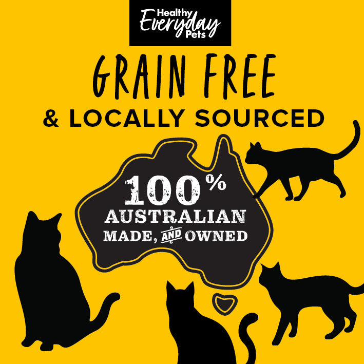 Healthy Everyday Pets Poultry Dry Cat Food