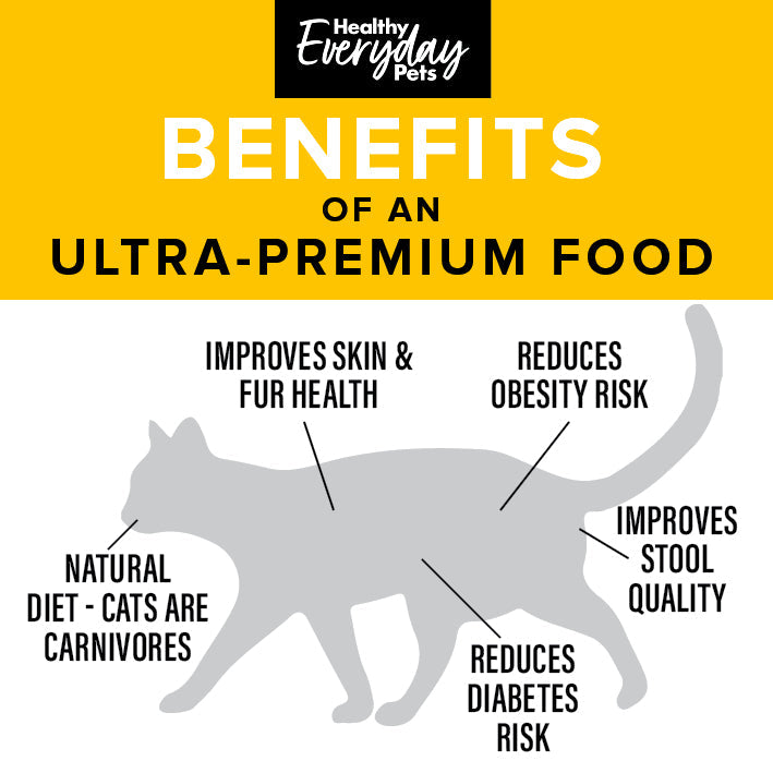 Healthy Everyday Pets Poultry Dry Cat Food