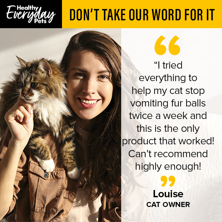 Healthy Everyday Pets Poultry Dry Cat Food