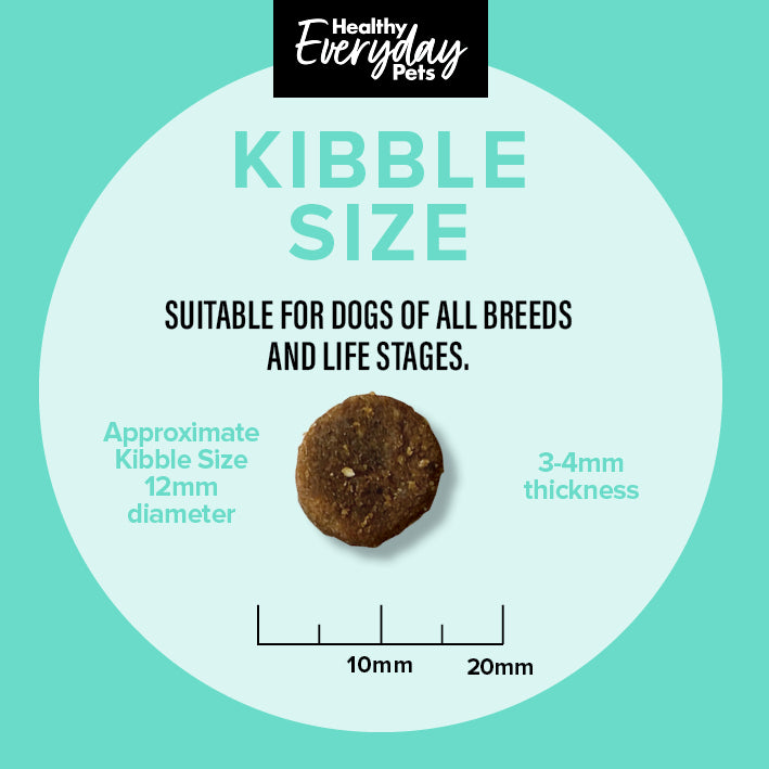 Healthy Everyday Pets Seafood Dry Cat Food