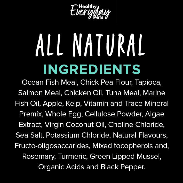 Healthy Everyday Pets Seafood Dry Cat Food