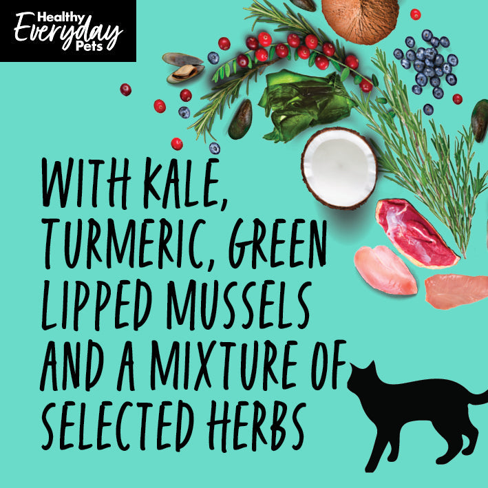 Healthy Everyday Pets Seafood Dry Cat Food