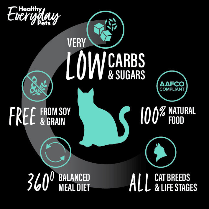 Healthy Everyday Pets Seafood Dry Cat Food