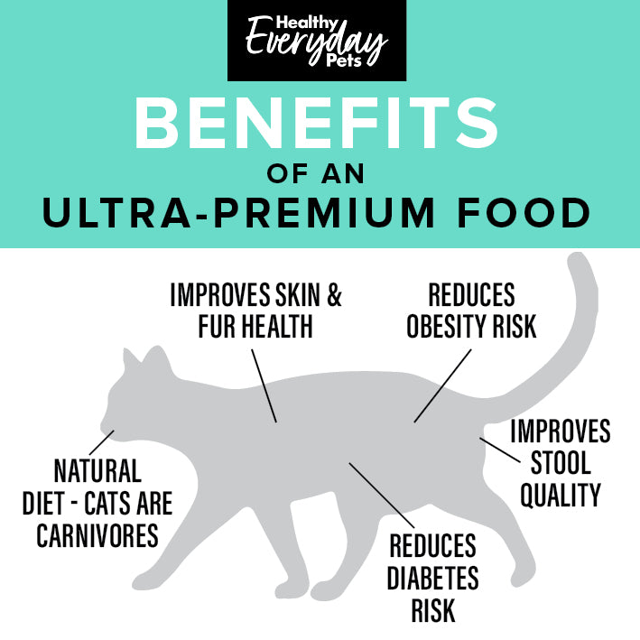Healthy Everyday Pets Seafood Dry Cat Food