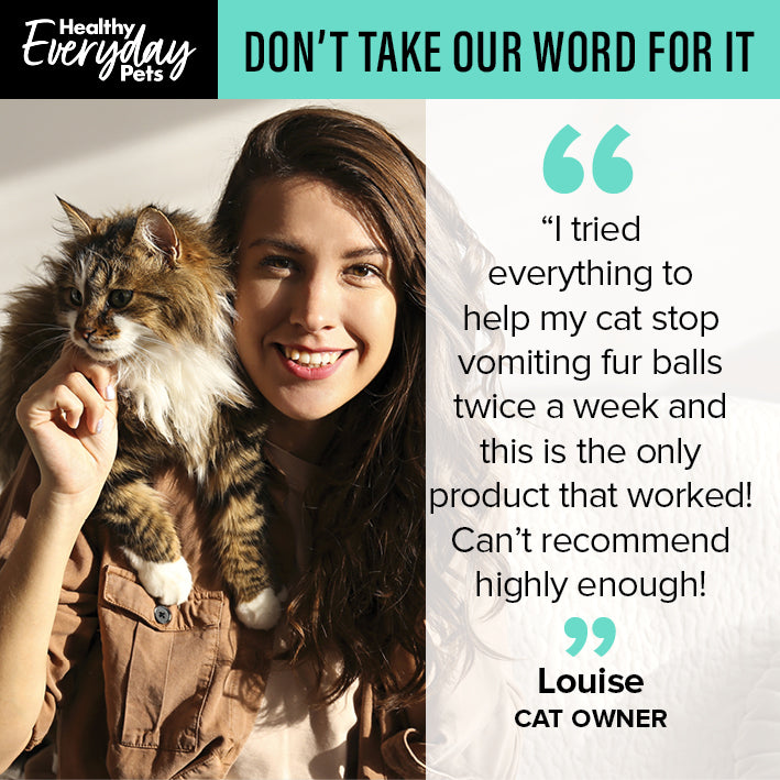 Healthy Everyday Pets Seafood Dry Cat Food