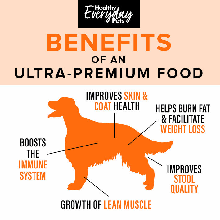 Healthy Everyday Pets Athlete Dry Dog Food