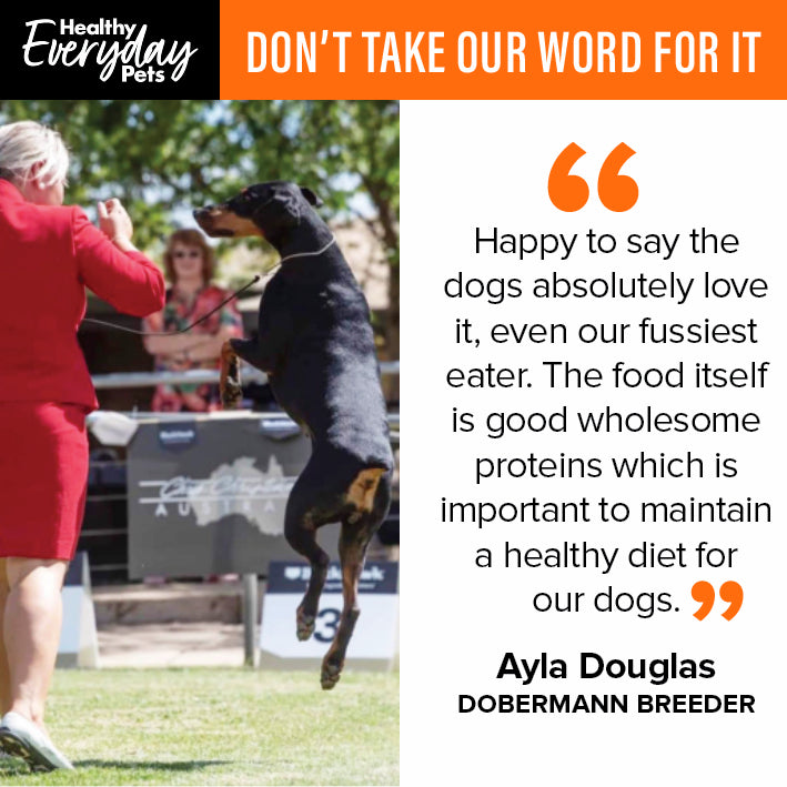 Healthy Everyday Pets Athlete Dry Dog Food