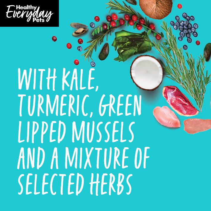 Healthy Everyday Pets Turkey & Pork Dry Dog Food