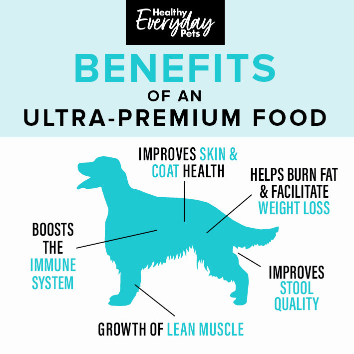 Healthy Everyday Pets Turkey & Pork Dry Dog Food