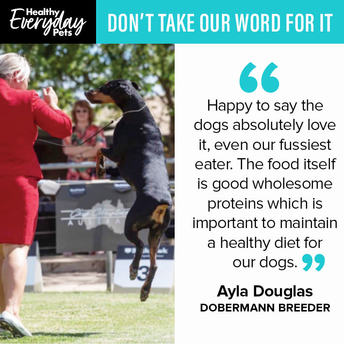 Healthy Everyday Pets Turkey & Pork Dry Dog Food