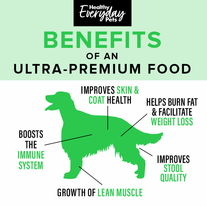 Healthy Everyday Pets Lamb & Kangaroo Dry Dog Food