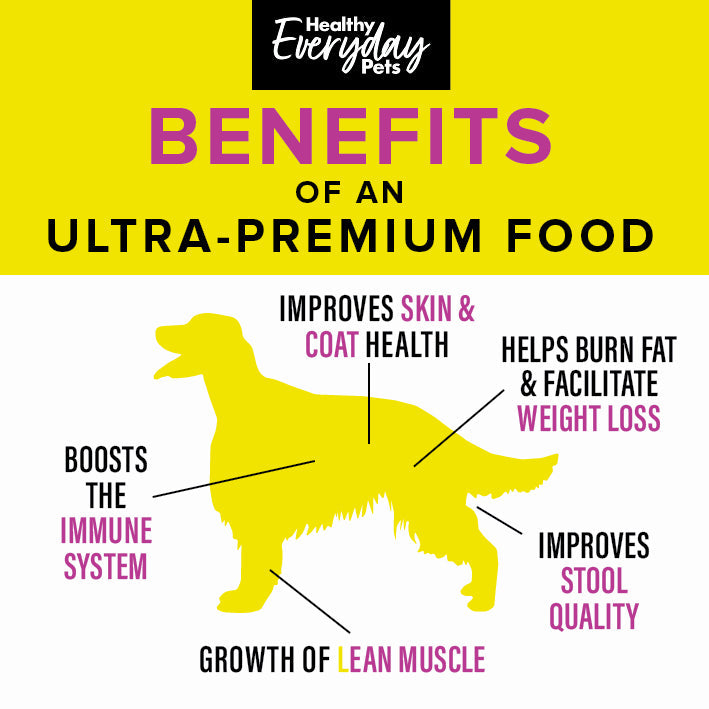 Healthy Everyday Pets Puppy Dry Dog Food