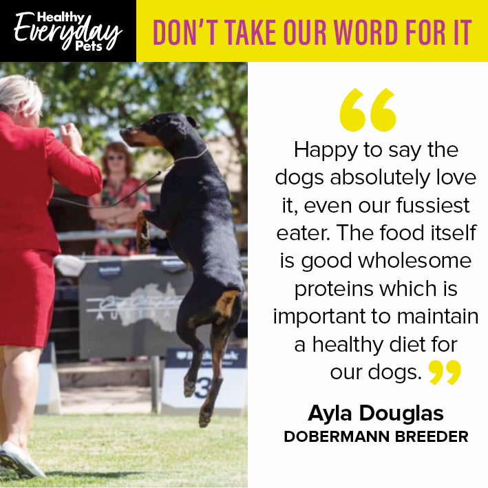 Healthy Everyday Pets Puppy Dry Dog Food