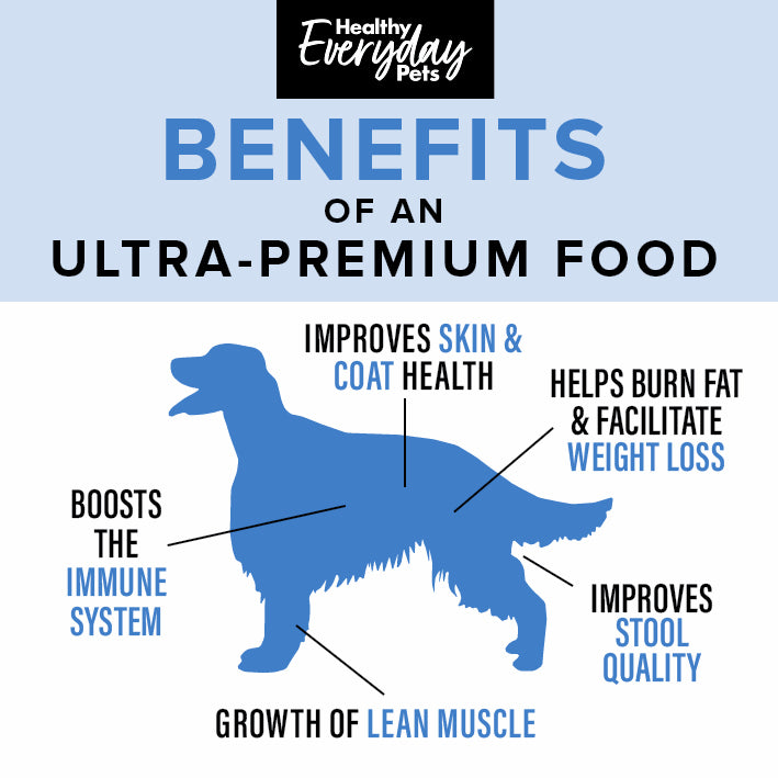 Healthy Everyday Pets Ocean Fish Dry Dog Food