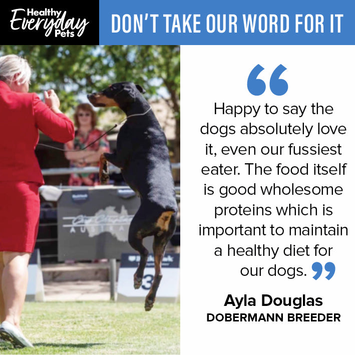 Healthy Everyday Pets Ocean Fish Dry Dog Food