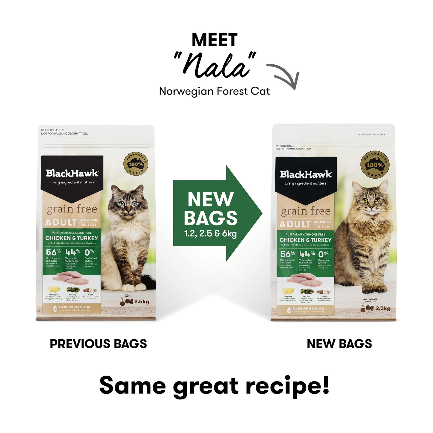 Black Hawk Grain Free Adult Chicken & Turkey Dry Cat Food