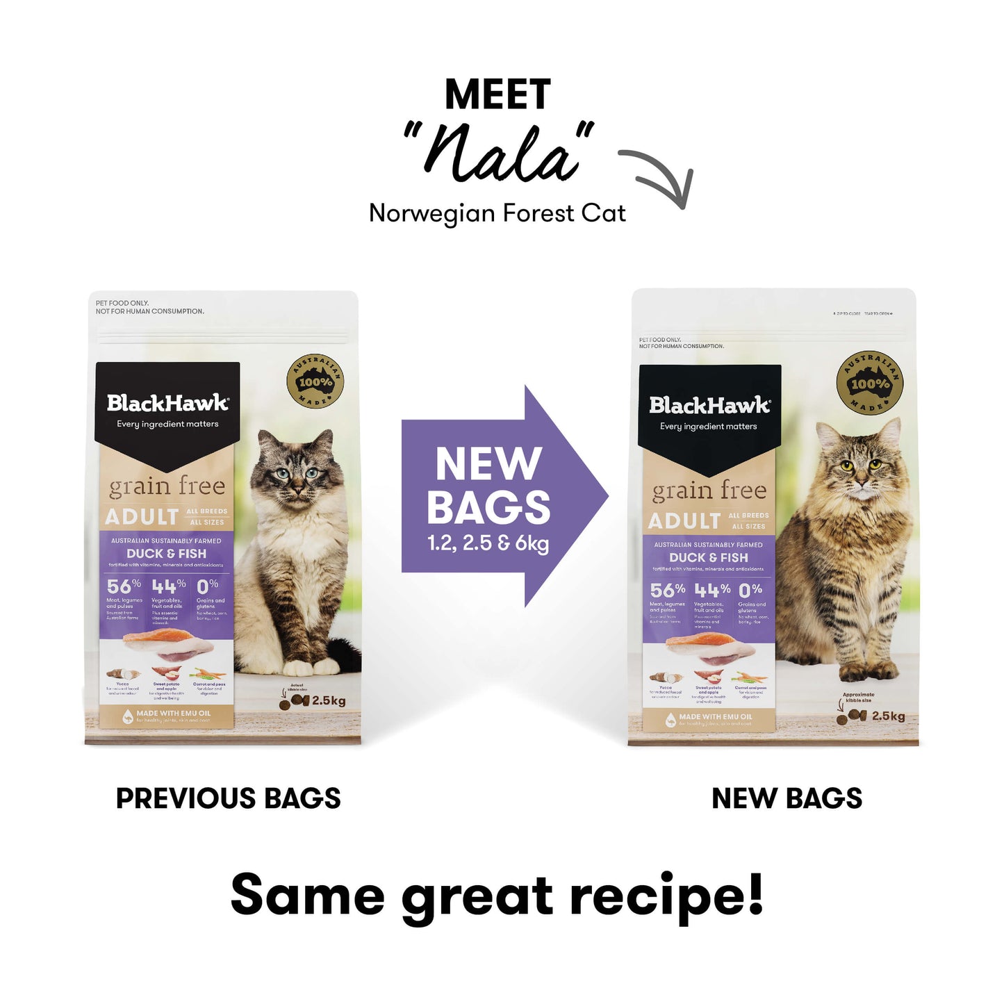 Black Hawk Grain Free Adult Duck & Fish Dry Cat Food