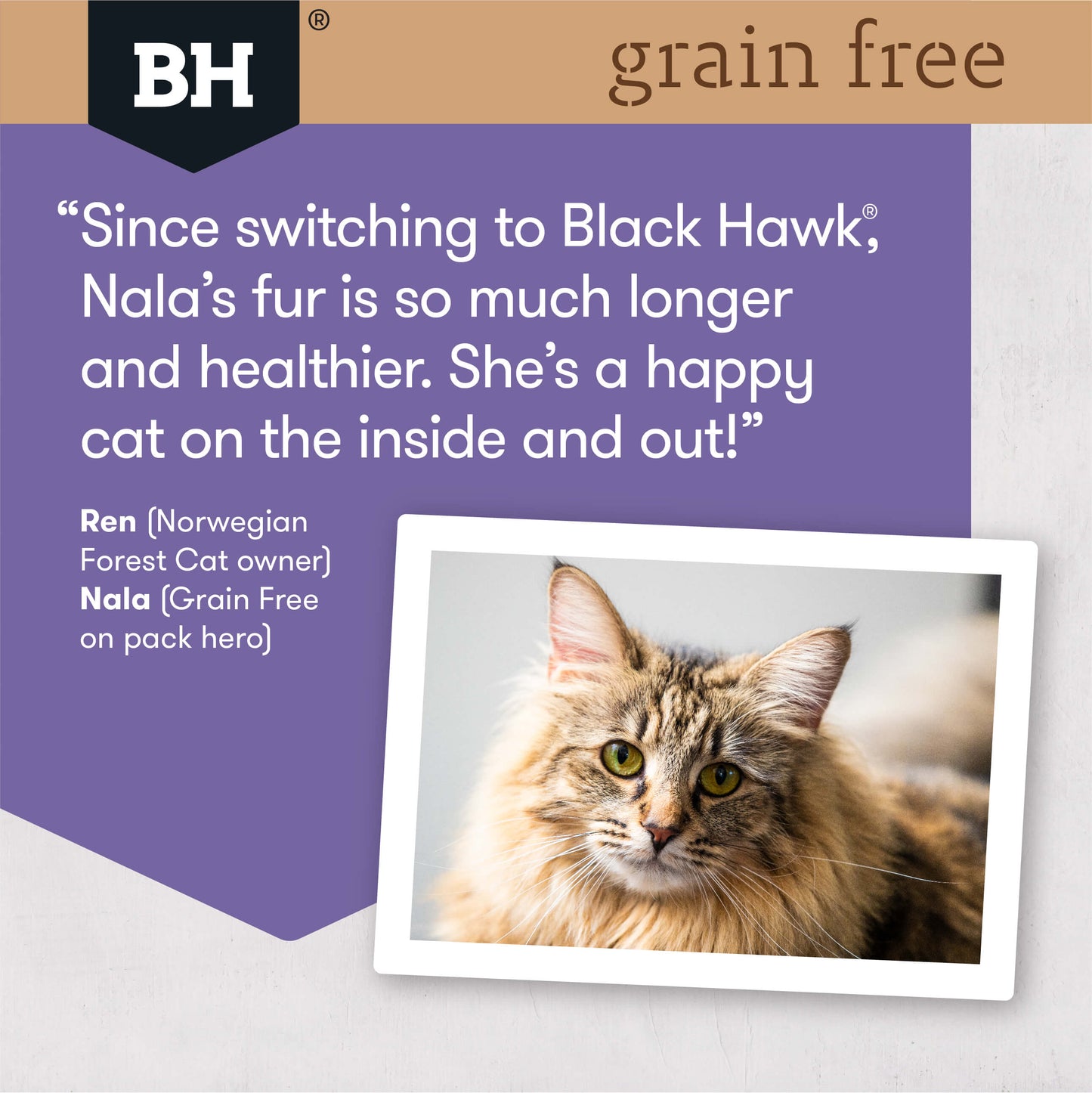 Black Hawk Grain Free Adult Duck & Fish Dry Cat Food
