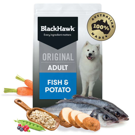 Black Hawk Original Adult Fish & Potato Dry Dog Food