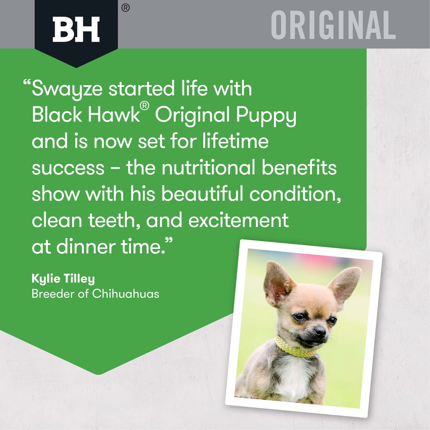 Black Hawk Original Puppy Chicken & Rice Dry Dog Food