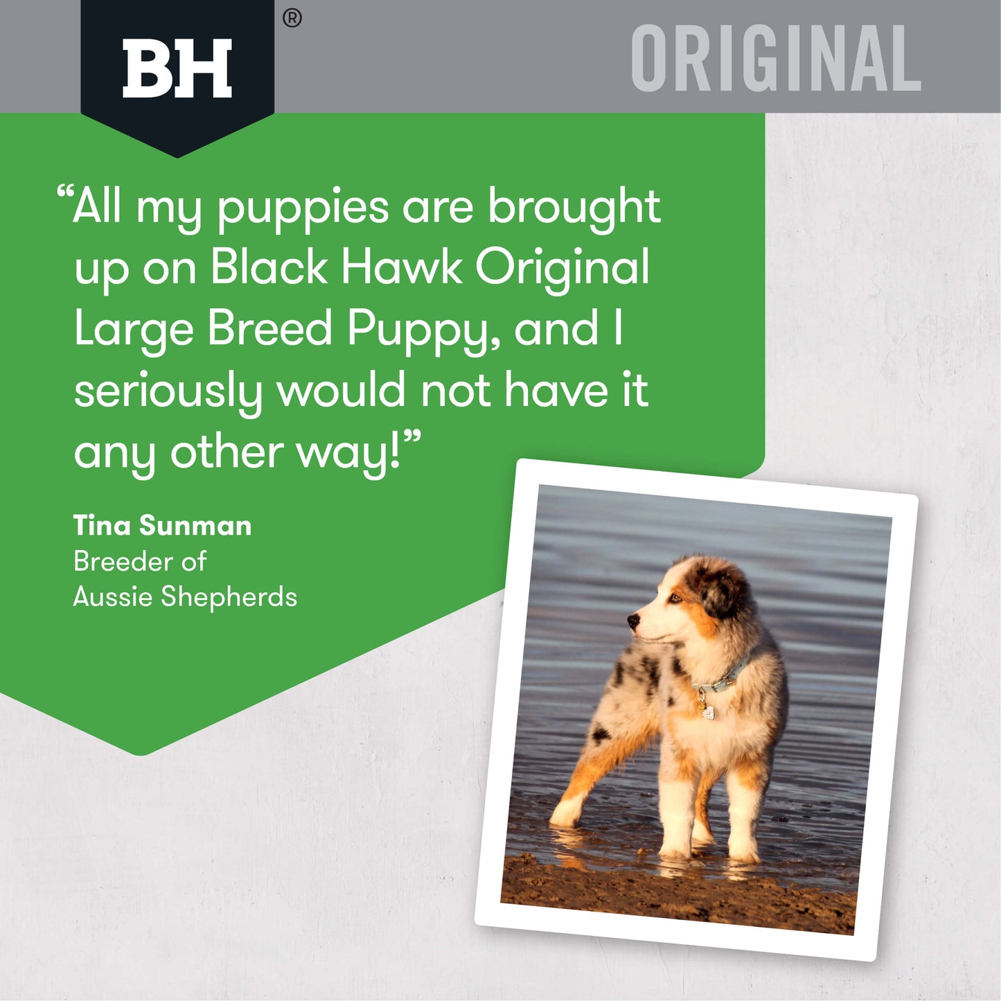 Black Hawk Original Large Breed Puppy Chicken & Rice Dry Dog Food