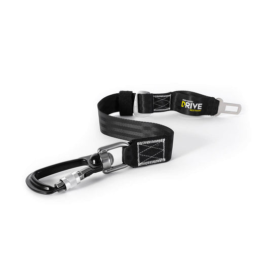 EzyDog Click Adjustable Car Restraint